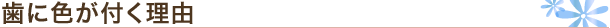 歯に色が付く理由